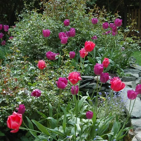 & ベッド・アンド・ブレックファスト Beaufort