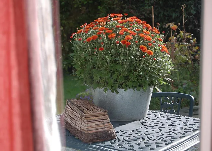 Couette-café & Beaufort