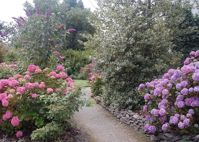 Couette-café & Beaufort